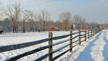 3 Tips for Saving Money on Insurance for Farms & Ranches